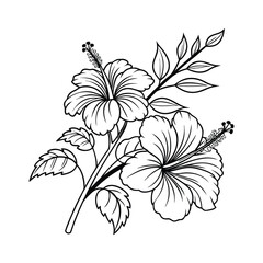 black and white flowers line art vector art silhouette