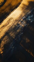 Fototapeta premium Stunning abstract image of an autumn forest with vibrant golden leaves and natural textures creating a beautiful serene landscape