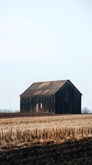 Obraz premium An old weathered barn stands alone in a vast golden field surrounded by the tranquil countryside