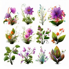 set of flowers