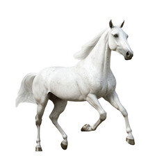 Fototapeta premium Majestic White Horse in Motion