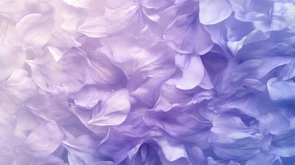 Fototapeta premium Delicate, pastel-toned flower petals close-up.