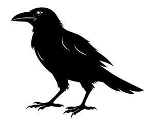 Crow Walking Silhouette SVG | Black Bird Vector Design