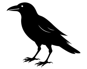 Crow Walking Silhouette SVG | Black Bird Vector Design