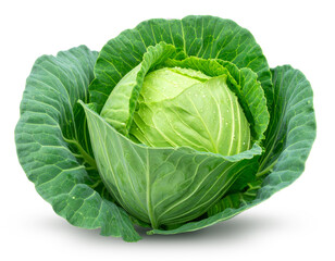 Fototapeta premium Close-up of a fresh green cabbage