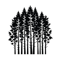 Vector silhouette of birch tree cluster