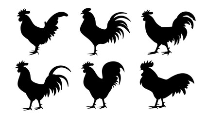 set of rooster different pose silhouette vector