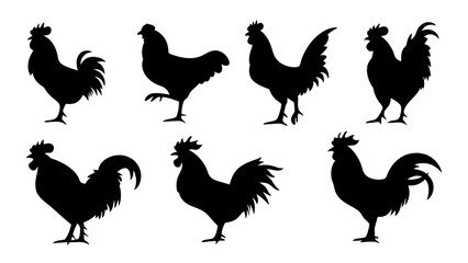 set of rooster different pose silhouette vector