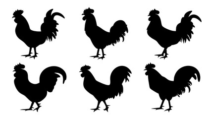 set of rooster different pose silhouette vector