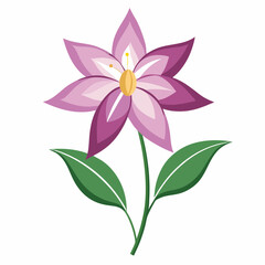 Minimal Clematis Vector on White Background