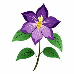 Minimal Clematis Vector on White Background