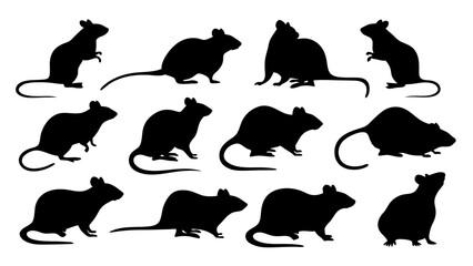 set of rats silhouette vector on tranparent background