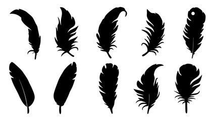 set of feathers silhouette vector on tranparent background