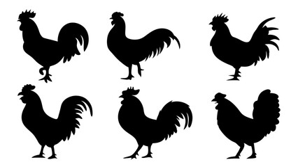 set of rooster different pose silhouette vector