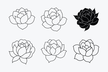 Peony Flower Line Art Collection &ndash; Minimalist Black and White Floral Vector Illustrations
