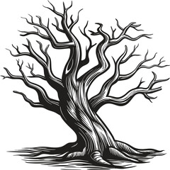 Obraz premium Intricate black and white leafless tree vector illustration
