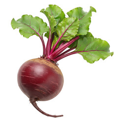 Fresh beetroot with green leaves isolated on transparent background