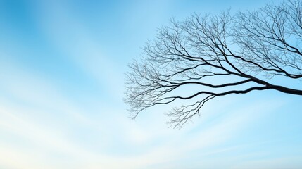 Tree with healthier branches grafted on, showing strategic improvement.