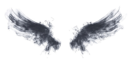 Abstract Grey Angel Wings