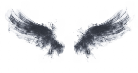 Abstract Grey Angel Wings