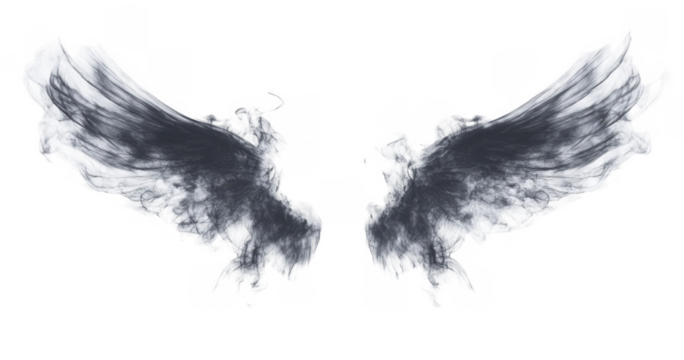 Abstract Grey Angel Wings
