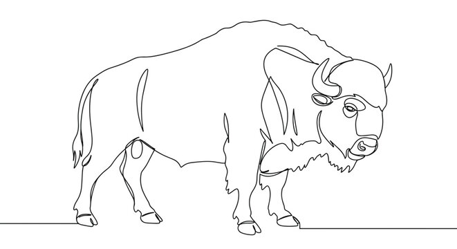 Single line drawing of a bison standing on a plain background  