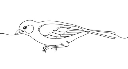 Fototapeta premium Sparrow sketch in minimalist style on white background 