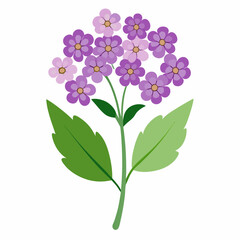 Simple Verbena Vector on White
