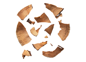 Walnut torn pieces