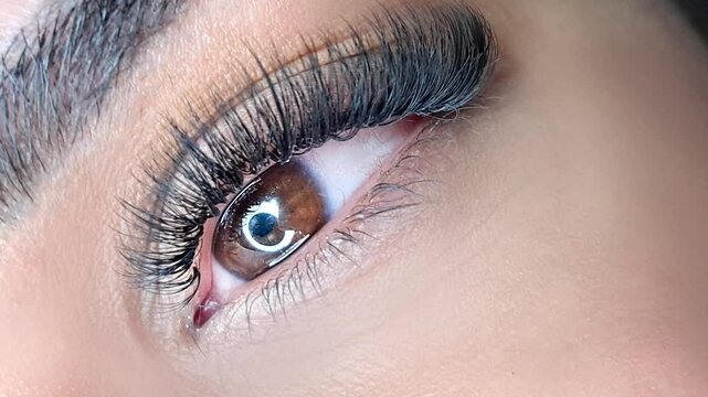 Close up of female eye with eyelash extensions ,eyelash extension procedure.2d volume, 3d volume, classical lashes,Russian volume,mega volume, new set.