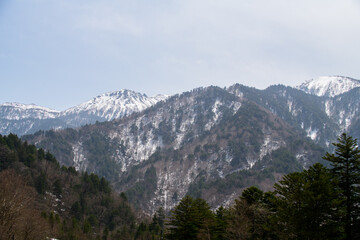 Snow-Dusted Mountains and Evergreen Forests Under a Pale Winter Sky,