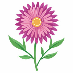 Minimal Aster Vector on White Background