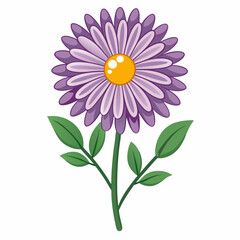 Minimal Aster Vector on White Background