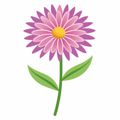 Minimal Aster Vector on White Background