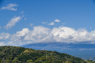 Fototapeta premium Landscape captures the peaceful coexistence of urban life and nature in rural Japan. In the distance, the iconic Mount Fuji rises majestically, Shizuoka Japan