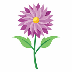 Minimal Aster Vector on White Background