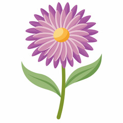 Minimal Aster Vector on White Background