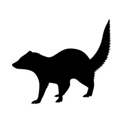 Mongoose animal silhouette. Vector image