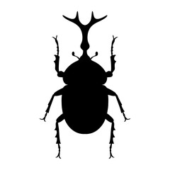Rhino beetle silhouette. Vector image