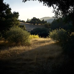 Peaceful rural scene with lush foliage a dirt trail and distant mountains creating a picturesque and tranquil natural environment