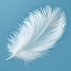 Delicate white feather with intricate details on a soft blue background