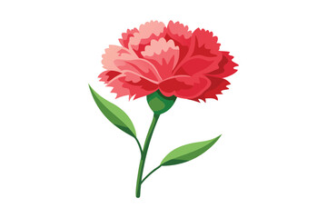 carnation vector illustration on white background