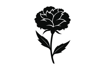 carnation vector illustration on white background