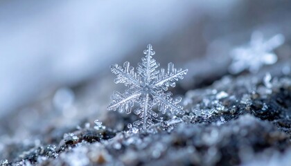 Captivating snowflake detail winter wonderland nature photography close-up macro perspective unique ice crystal formations