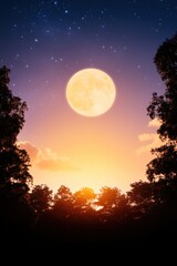 Naklejka premium Outdoor movie night brings laughter and joy under the stars with unexpected technical issues and diverse audience