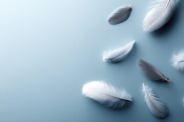 Naklejka premium Captivating display of fluffy down feathers on soft blue background with ample copy space