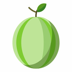 Winter Melon Vector on White Background
