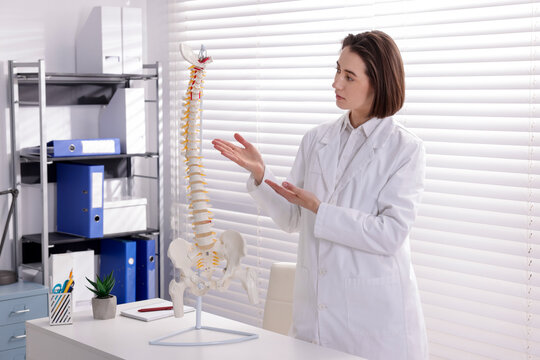 Doctor demonstrating human spine model at desk in clinic