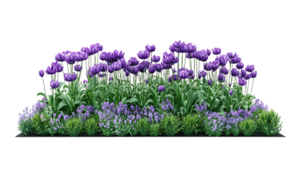 Purple Tulip and Muscari Flowerbed Spring Garden Arrangement