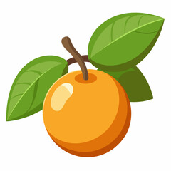 Simple Loquat Vector on White Background